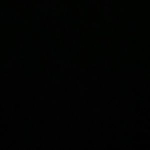 Meet your Posher, Sandy